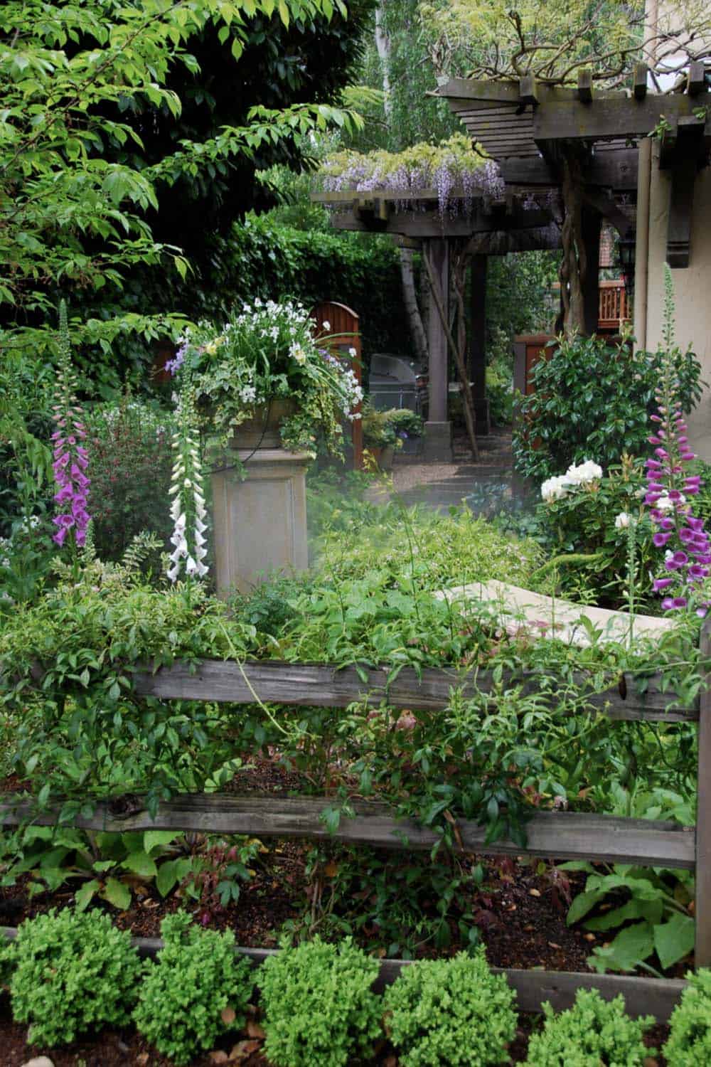 A romantic woodland side yard in Northern California with foxglove, wisteria pergola, boxwood, and a hidden grill on a gravel patio connected by a bluestone path