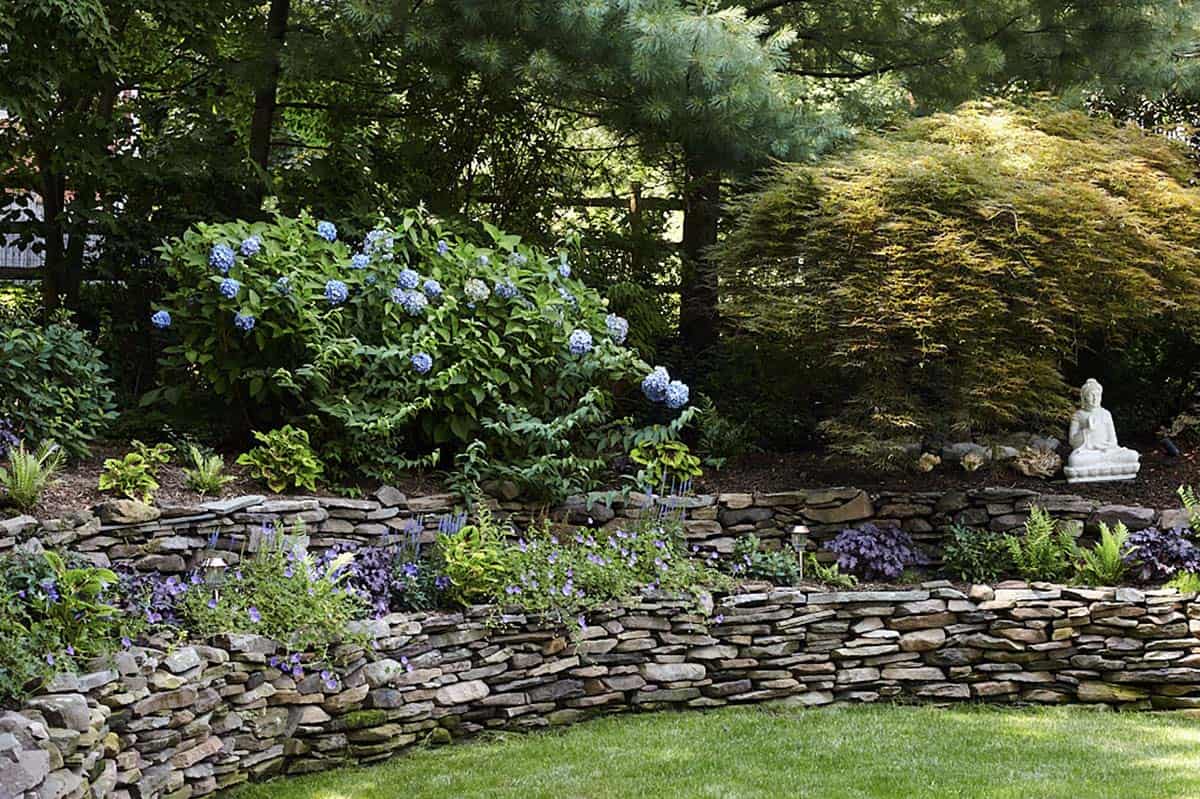 A tiered dry-stacked stone wall garden with blue hydrangeas, purple geraniums, a golden Japanese maple, and a white Buddha statue in a shaded backyard