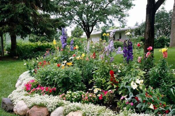 featured posts image