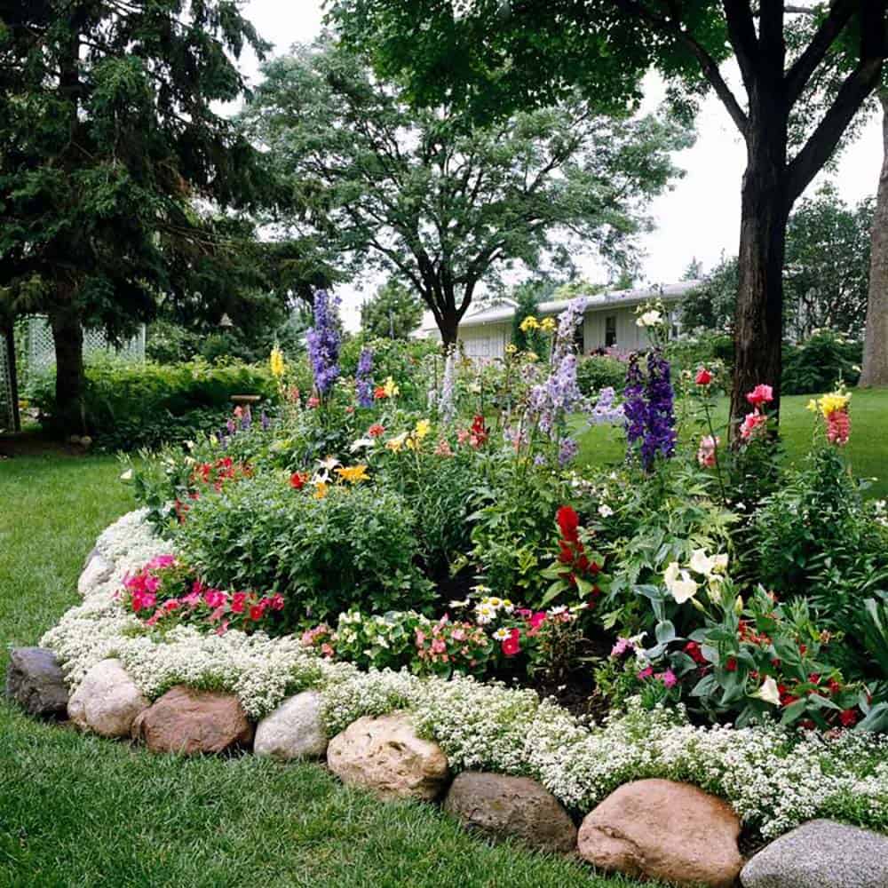 Large natural boulders edging a lush cottage-style flower bed with sweet alyssum spilling over the stones