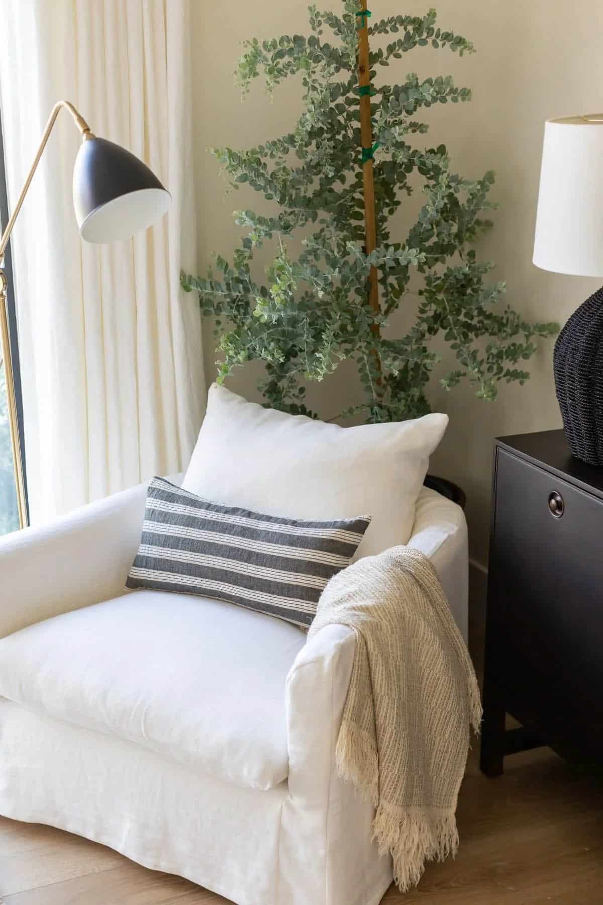 sitting area, white slipcovered chair, eucalyptus plant, brass floor lamp, black side table