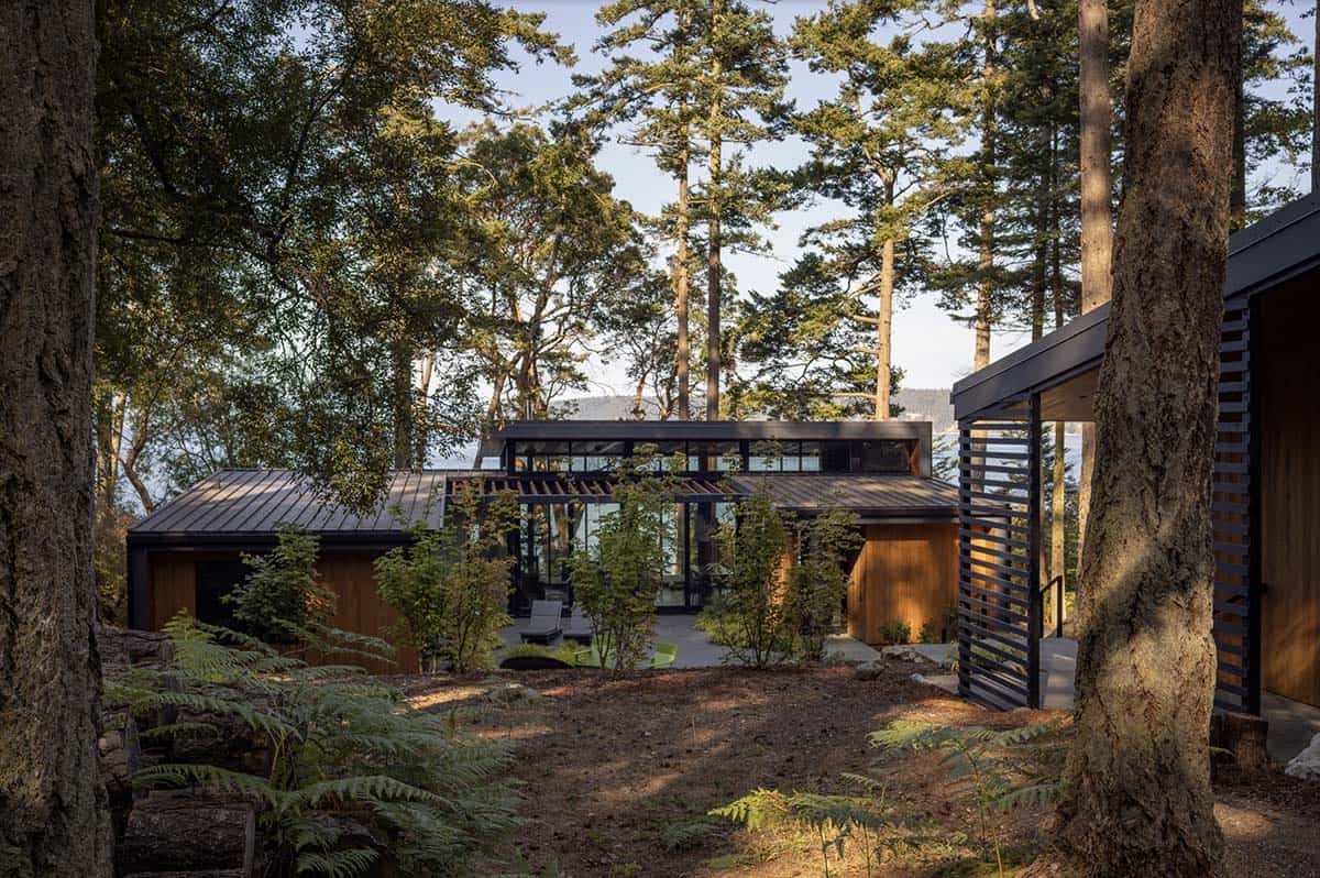 Forest approach to modern home with black steel-framed windows, cedar siding, and horizontal louvered screen