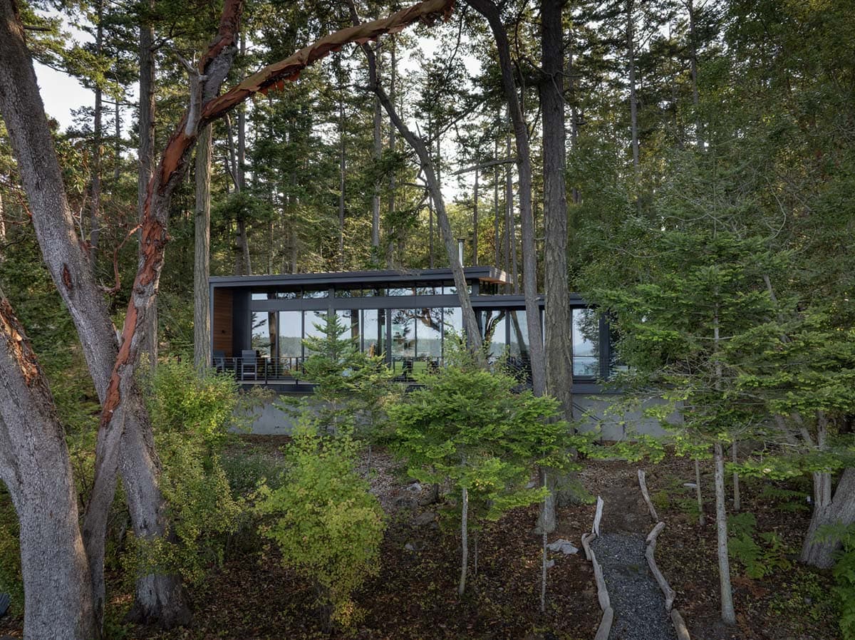 Modern glass-walled home barely visible through dense Pacific Northwest forest of madrone and fir trees