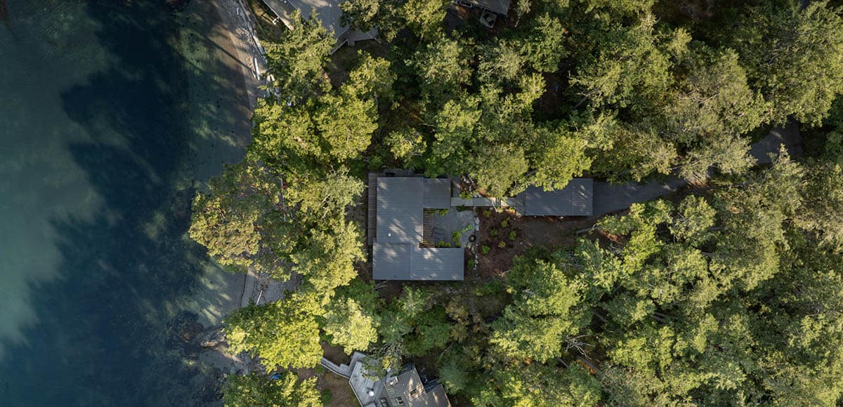Straight-down aerial drone view of standing-seam metal roof nestled within dense forest canopy on San Juan Island waterfront