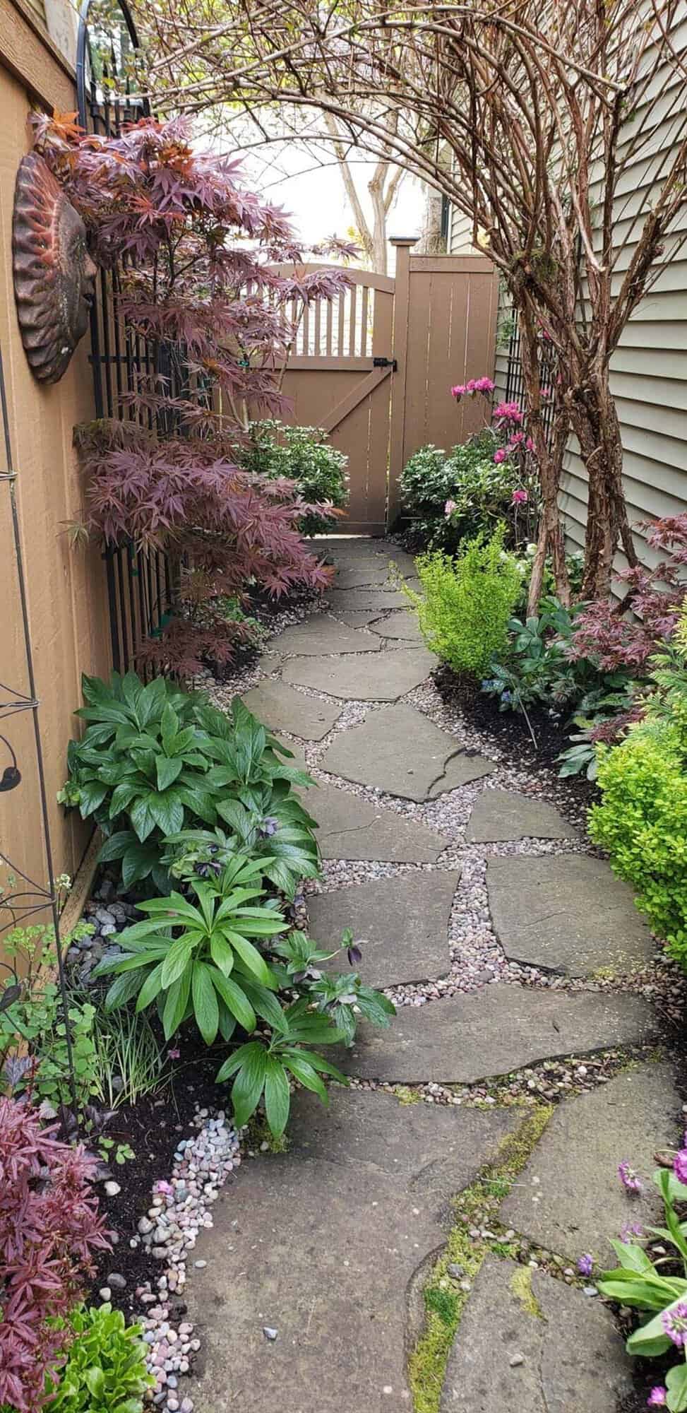Narrow side yard with flagstone path, Japanese maple, and wooden gate