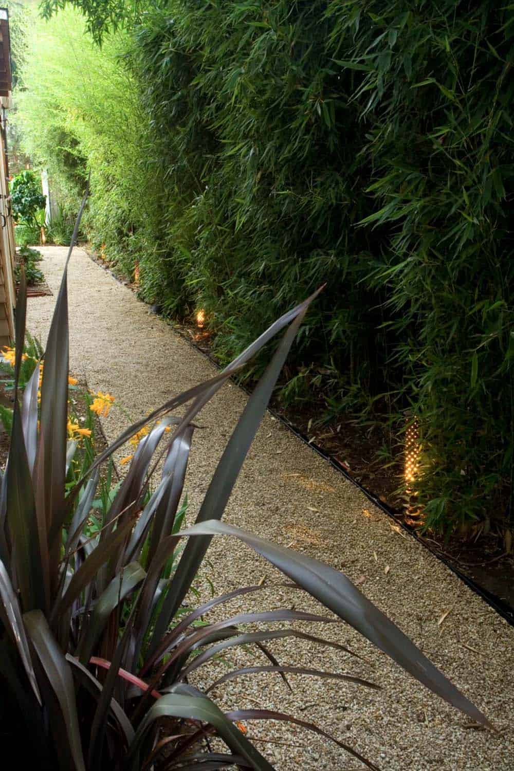 Narrow gravel side yard path lined with tall bamboo and warm uplighting at dusk