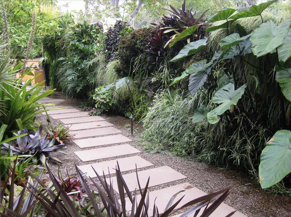 Narrow gravel pathway with concrete stepping stones bordered by a dramatic 40-foot living green wall with tropical plants in San Diego