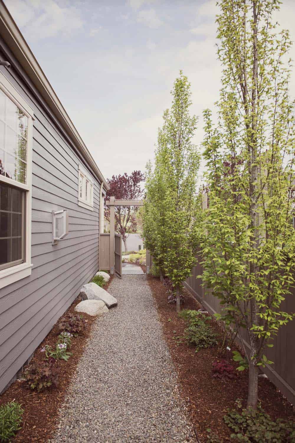 Narrow gravel path lined with columnar hornbeam trees, granite boulders, and mulch beds beside a gray house and wood fence