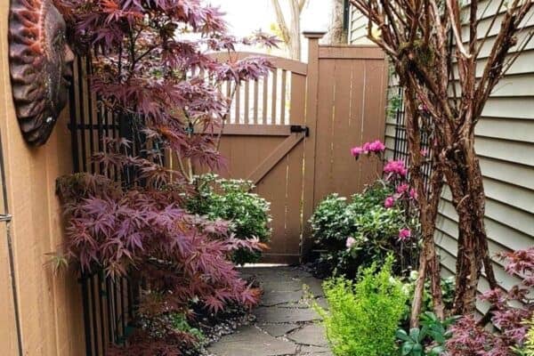 featured posts image for 21 Creative Narrow Side Yard Ideas That Maximize Space in Your Landscape