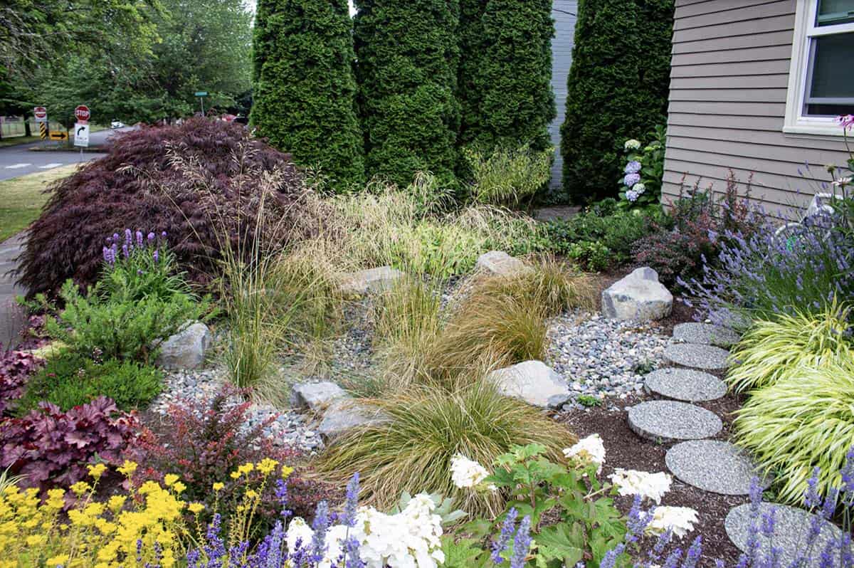 Front yard rain garden surrounded by pollinator-friendly plantings