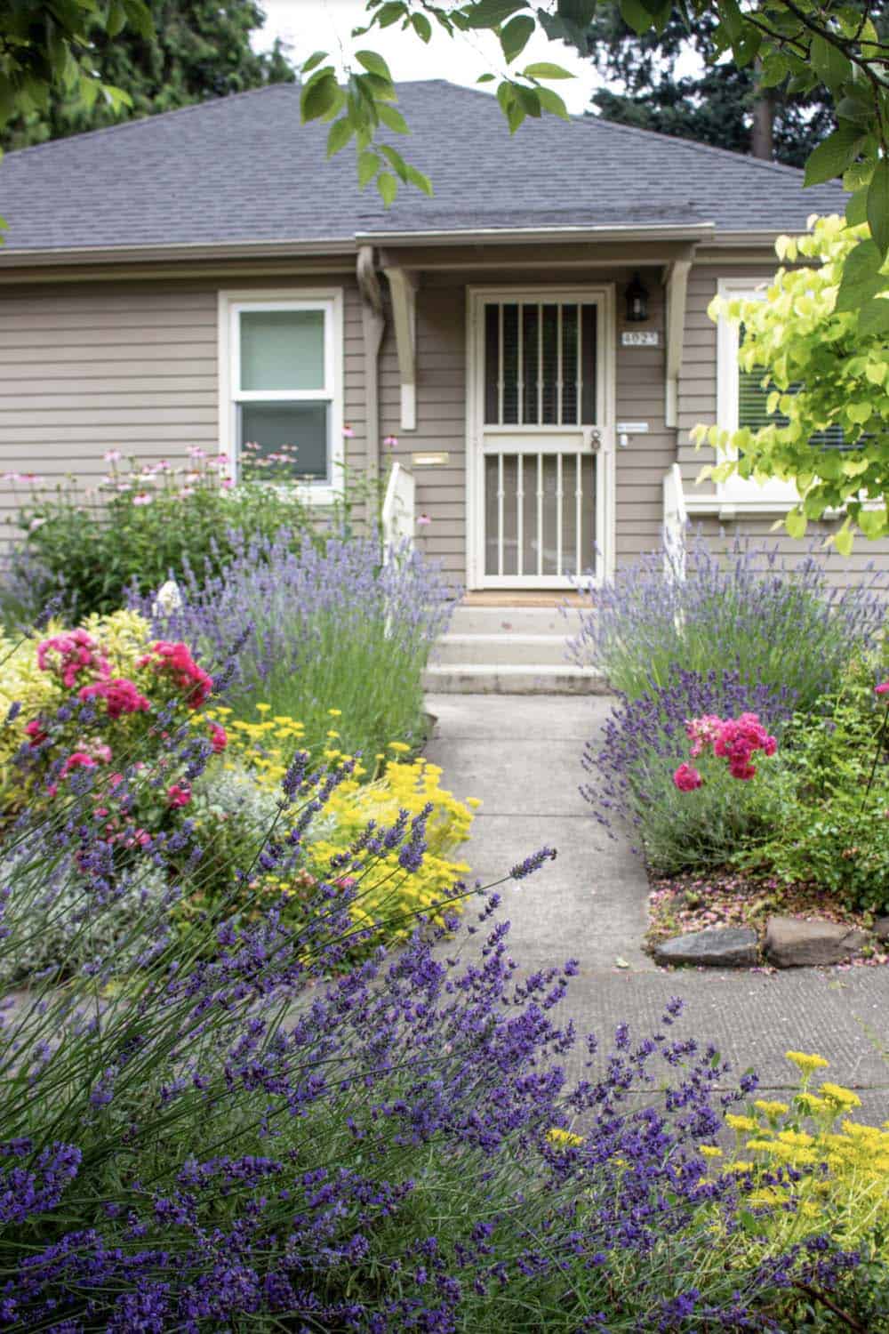 Entrance plantings for a pollinator-friendly, drought tolerant garden