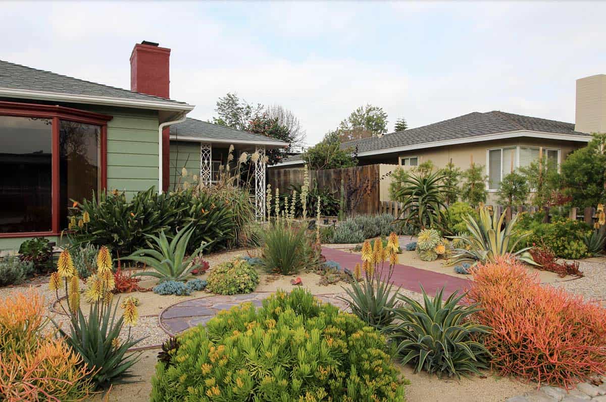 Drought-tolerant xeriscape front yard with agave, aloe, and colorful succulents in Los Angeles, California