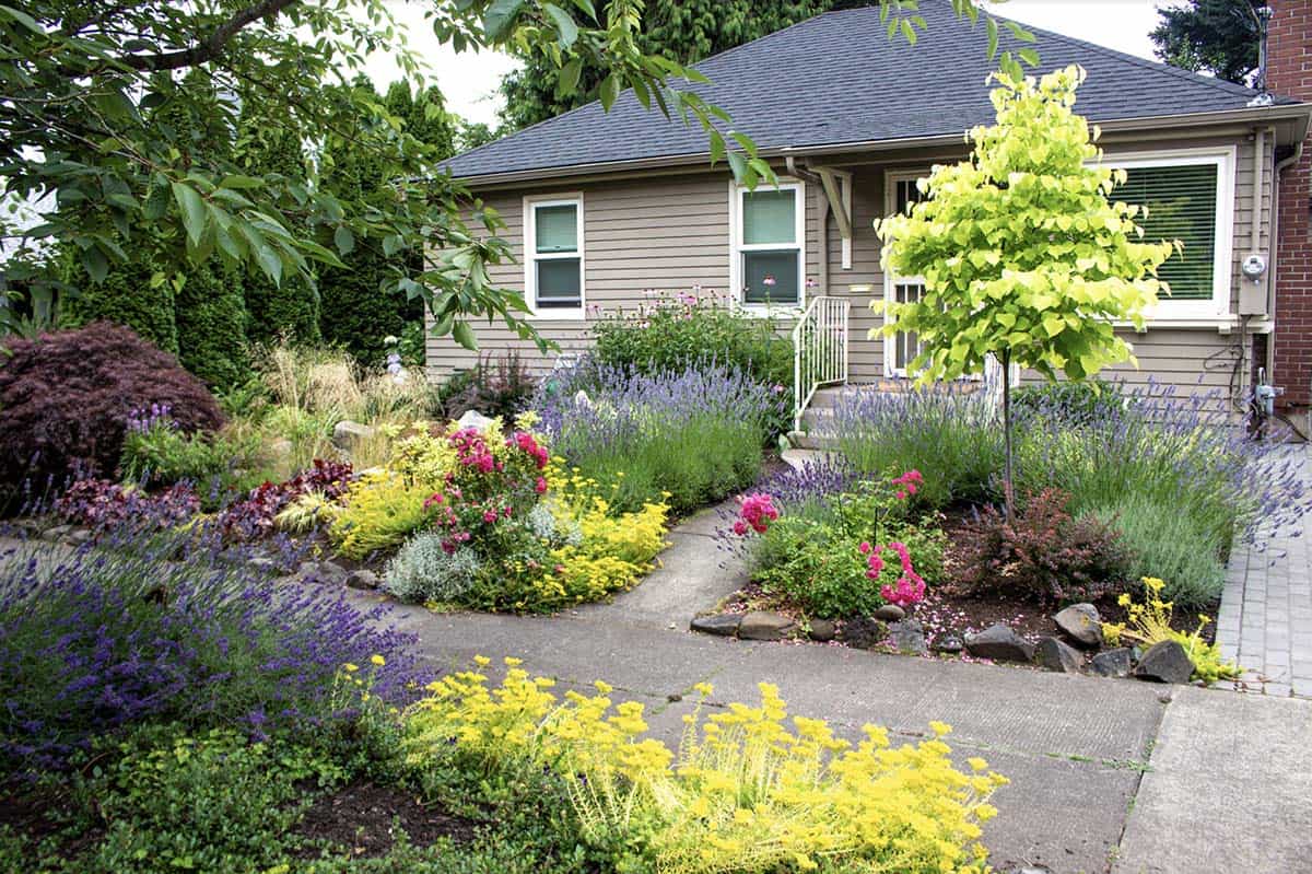 Sustainable landscape design|build featuring pollinator-attracting flowers, rain garden, and all-season foliage