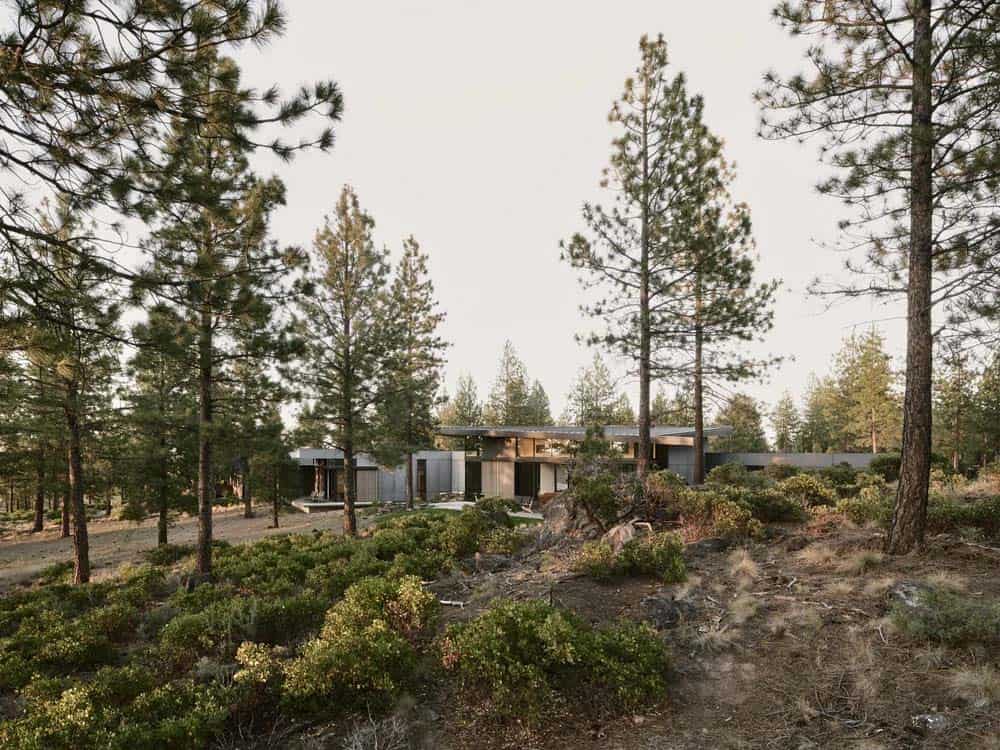 Contemporary low-profile house nestled among ponderosa pines in Oregon high desert at dusk