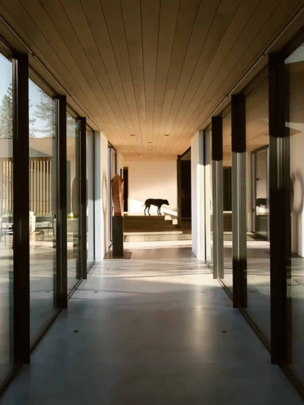 Glass-walled corridor with wood ceiling and a dog silhouetted at the far end near wooden steps