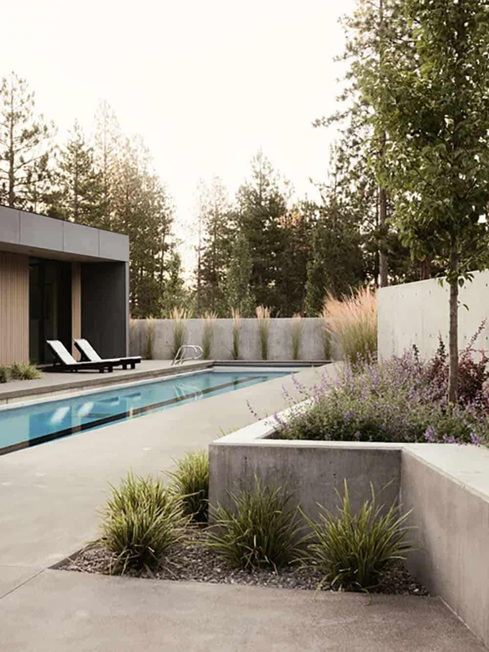 Lap pool with concrete surround, ornamental grasses, lavender plantings, and tall pine trees at sunset