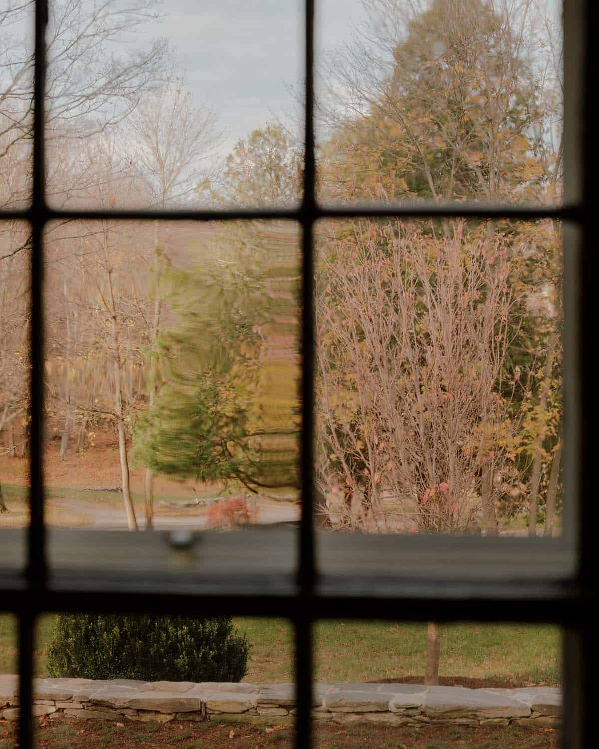 Farmhouse window view of bare autumn trees and shrubs framed by dark window muntins