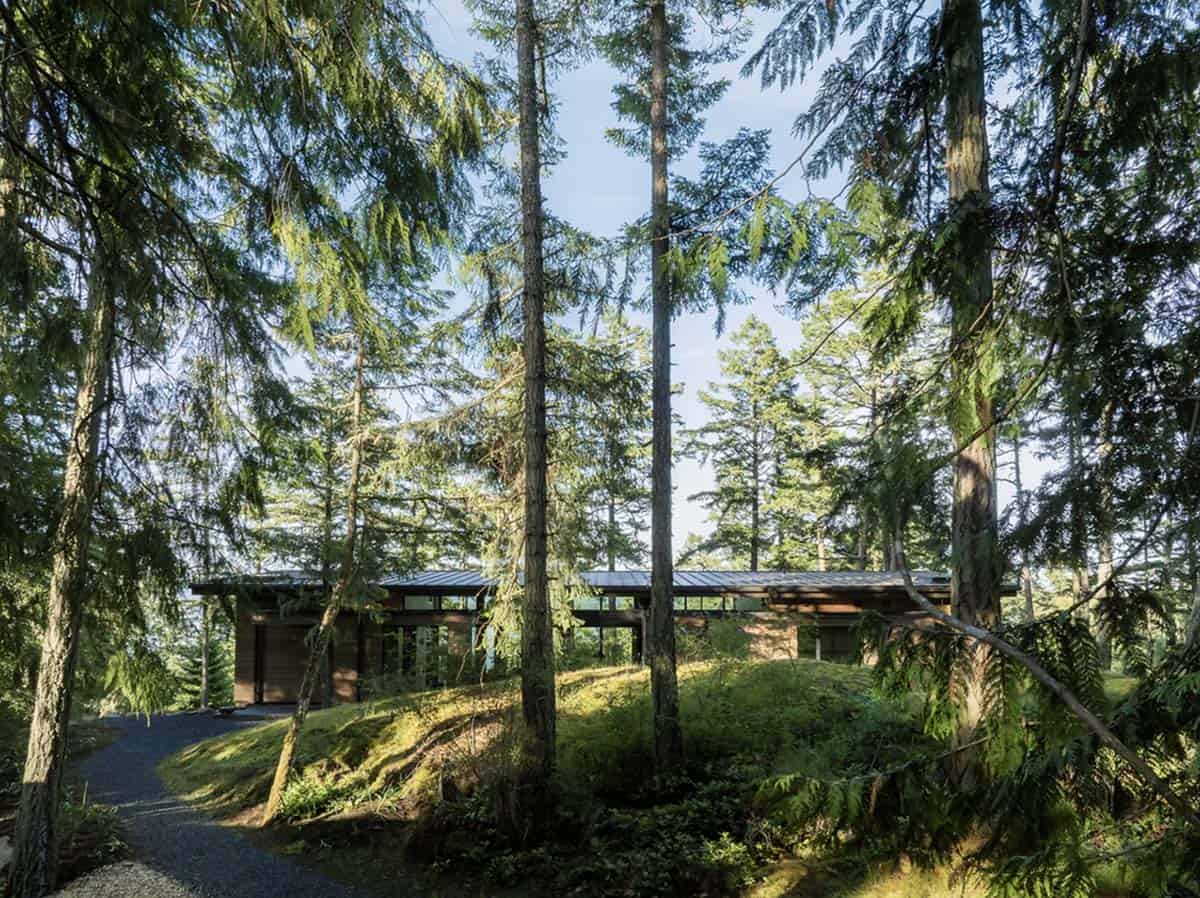 Modern forest home nestled among tall Pacific Northwest conifers, viewed through trees along gravel path