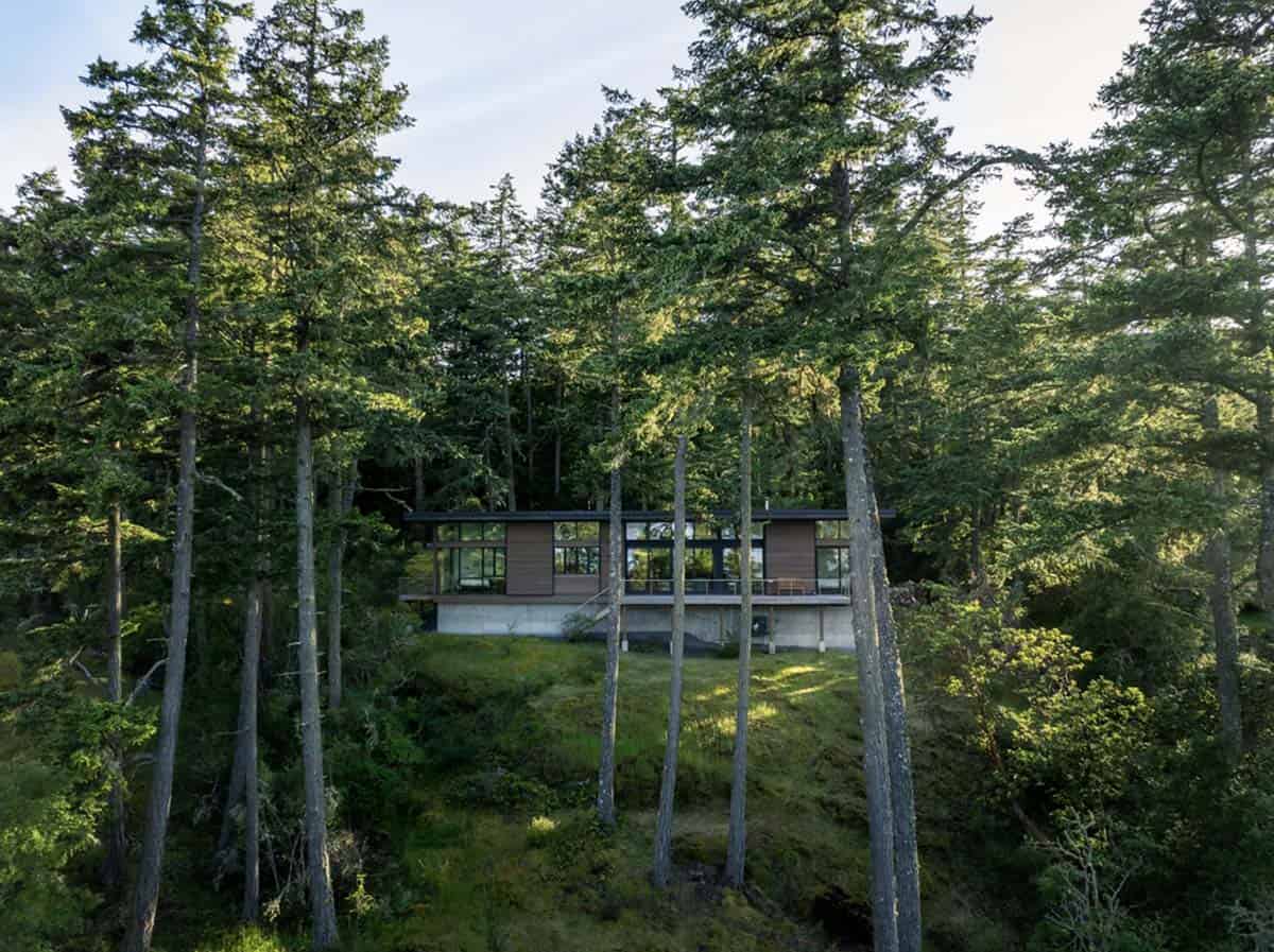 Aerial view of home elevated on concrete base amid dense Pacific Northwest forest canopy