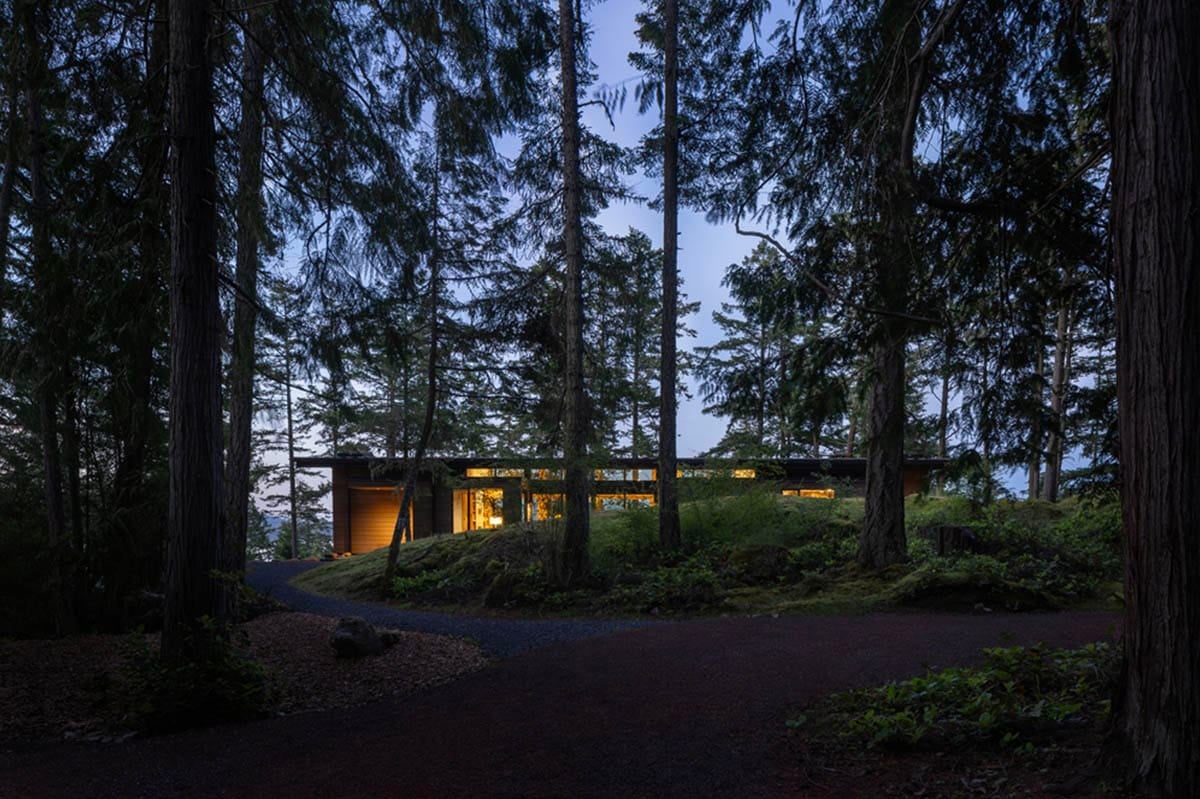 Home glowing at dusk through old-growth conifers along gravel driveway with water visible beyond