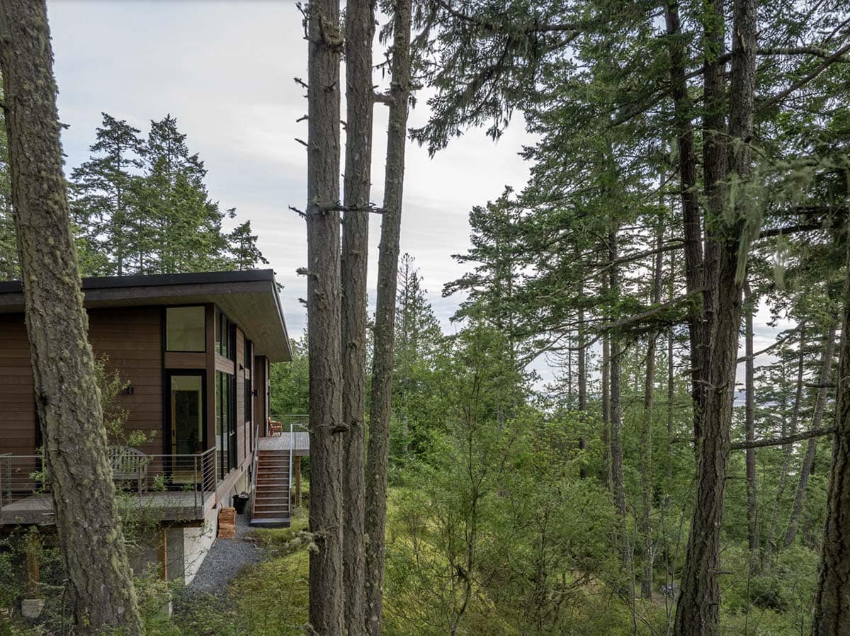 Cedar home with flat roof overhang and elevated deck seen through tall Pacific Northwest conifers