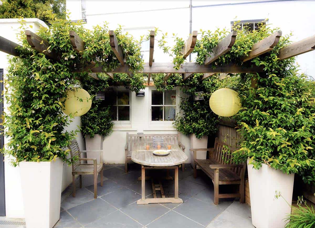 Climbing vines on wood pergola framing a patio seating area with teak furniture and paper lanterns
