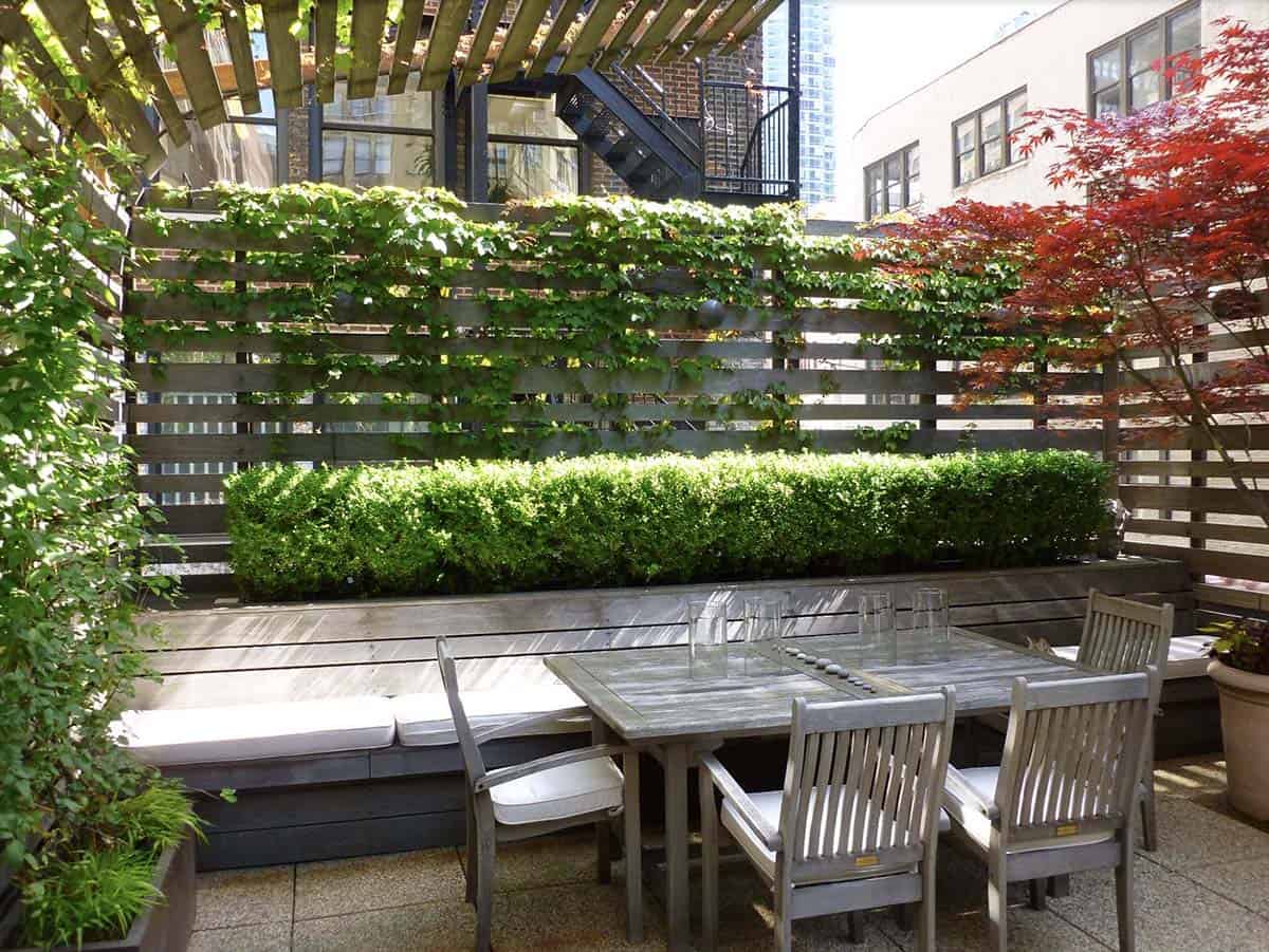 Urban rooftop patio with horizontal slatted wood privacy fence covered in climbing vines, boxwood hedge planter, and teak dining furniture