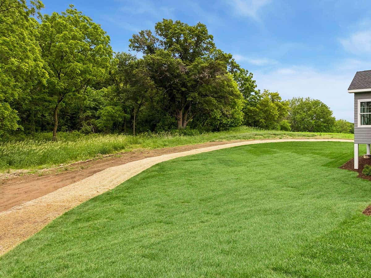 Backyard lawn edge with gravel path and dense tree line