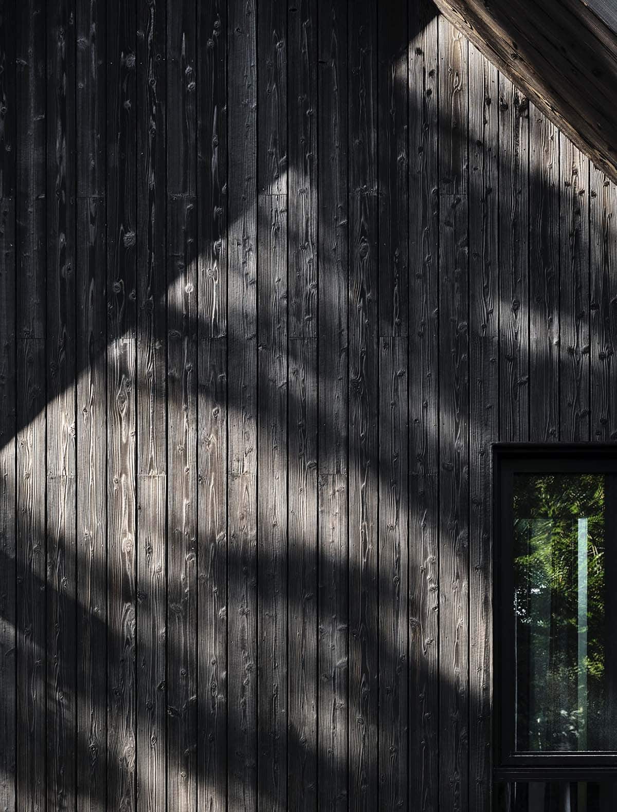 Close-up of charred wood siding with dappled tree shadow and a small black-framed window