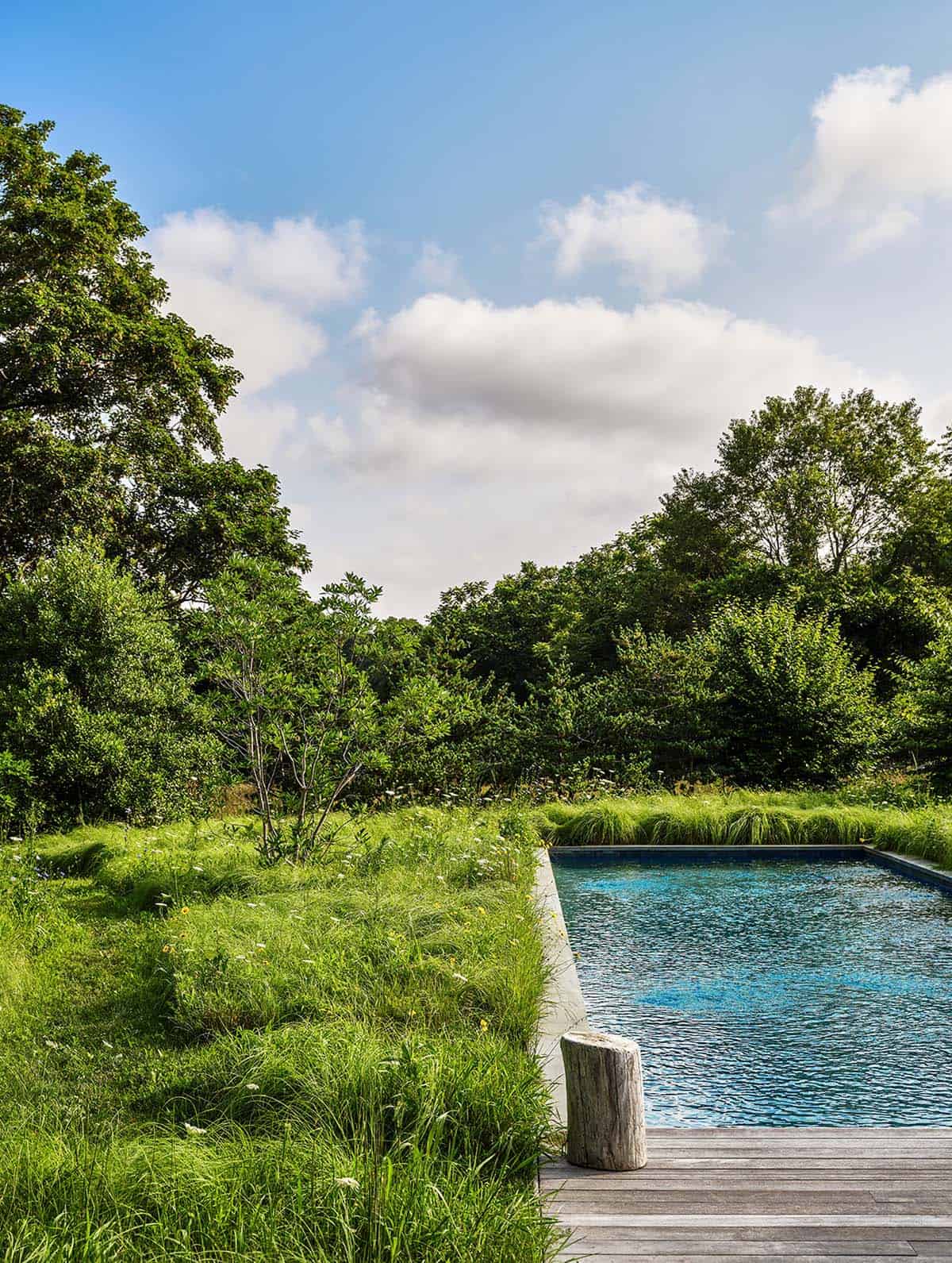 Rectangular swimming pool bordered by tall grasses and dense woodland under a partly cloudy sky