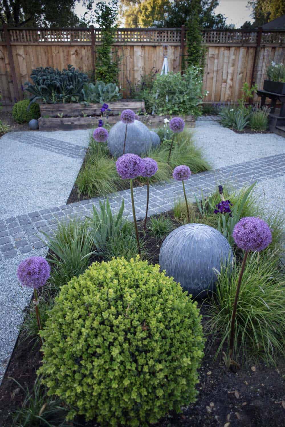 Alliums, boxwood spheres, ornamental grasses, and stone garden balls in a structured small backyard with gravel and raised vegetable beds