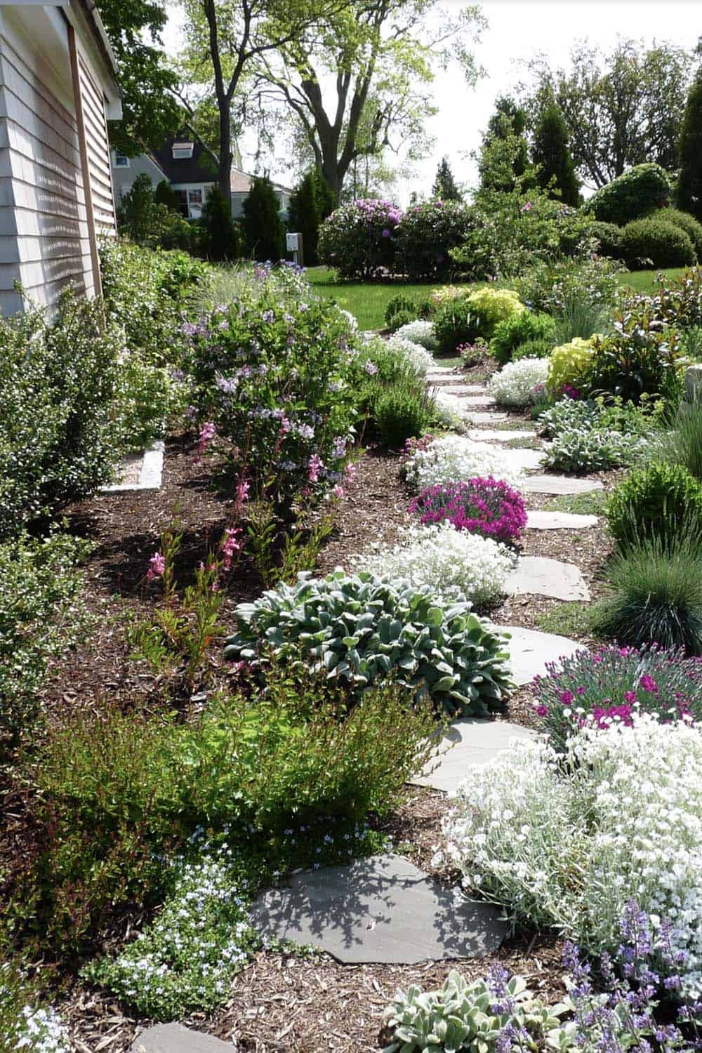 Flagstone stepping stone path through densely planted cottage garden borders with hostas, phlox, catmint, and rhododendron