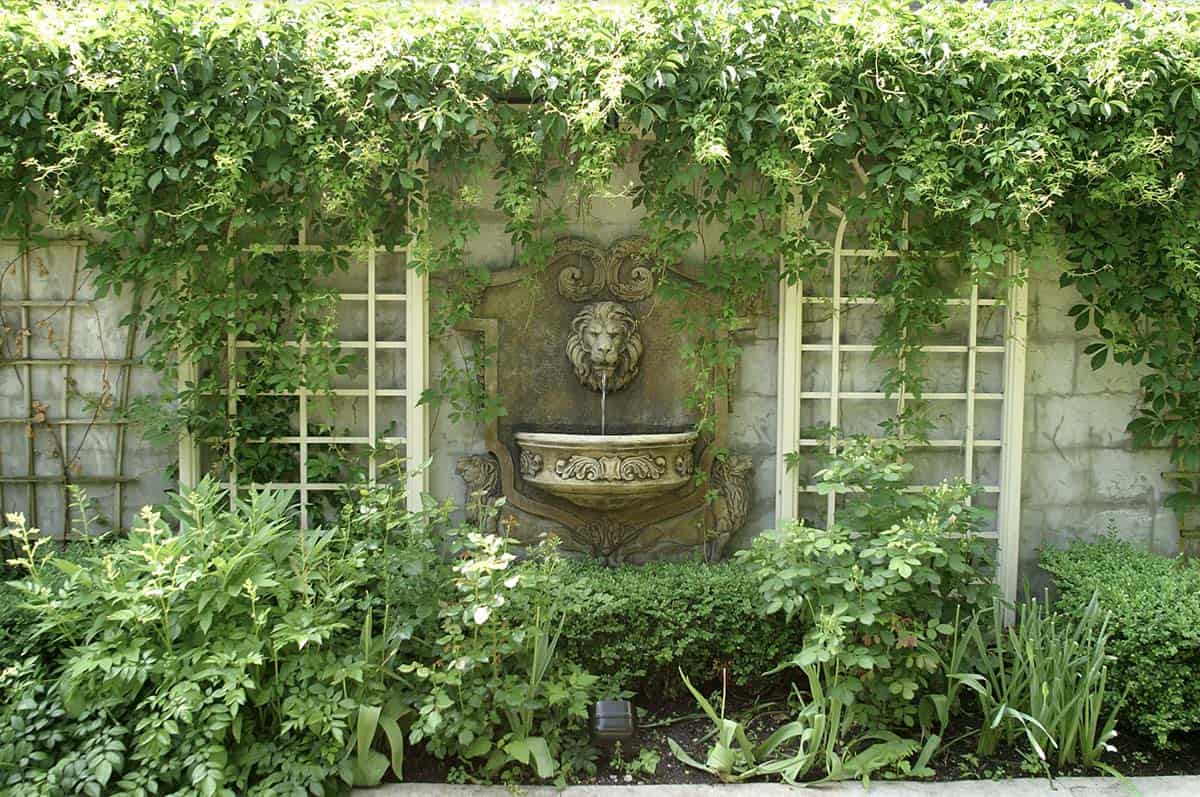 Stone lion head wall fountain surrounded by climbing vines, boxwood, and trellis panels on a garden wall