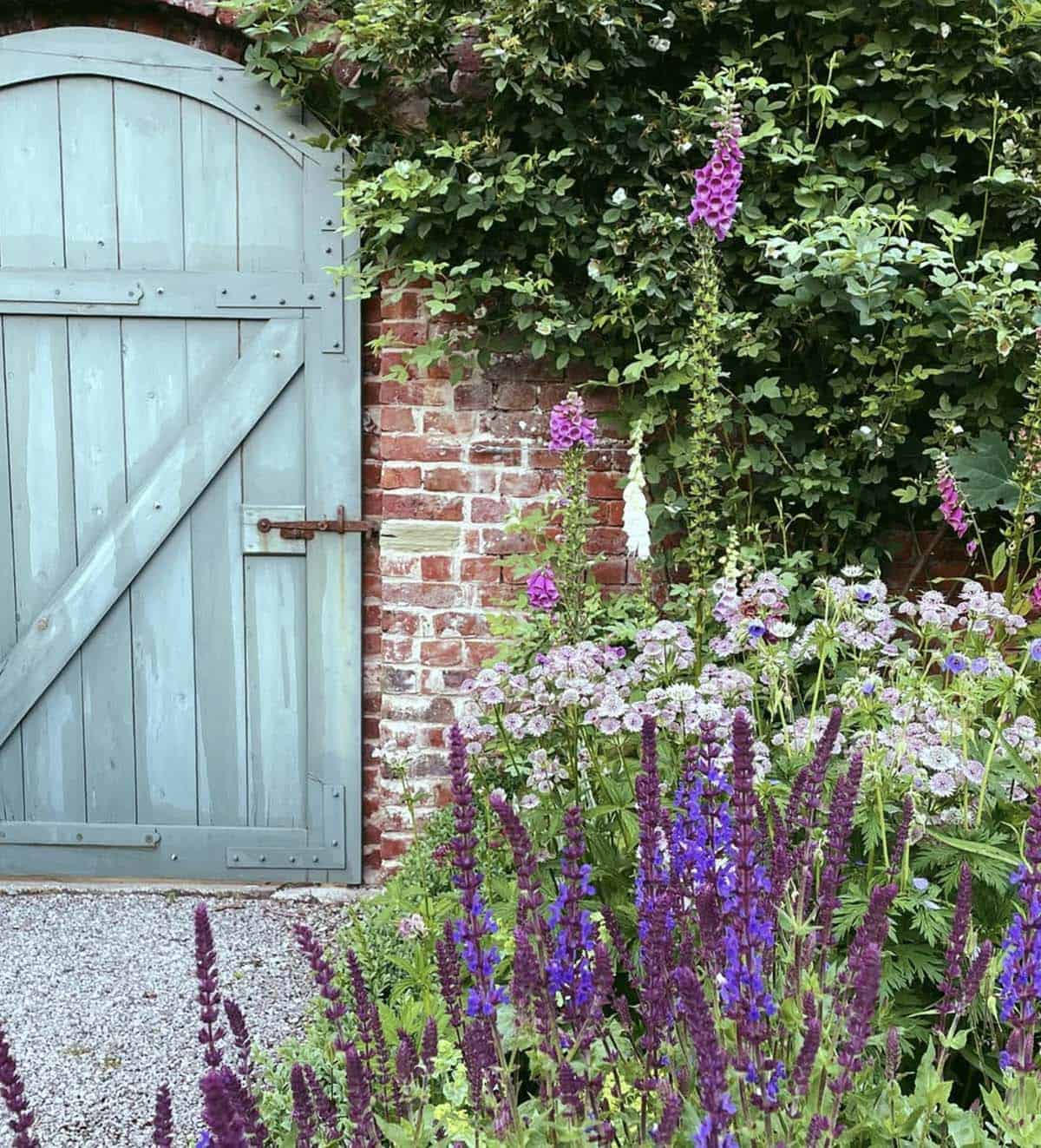 Foxgloves, salvia, and astrantia against an aged brick wall with a painted blue-grey wooden garden door