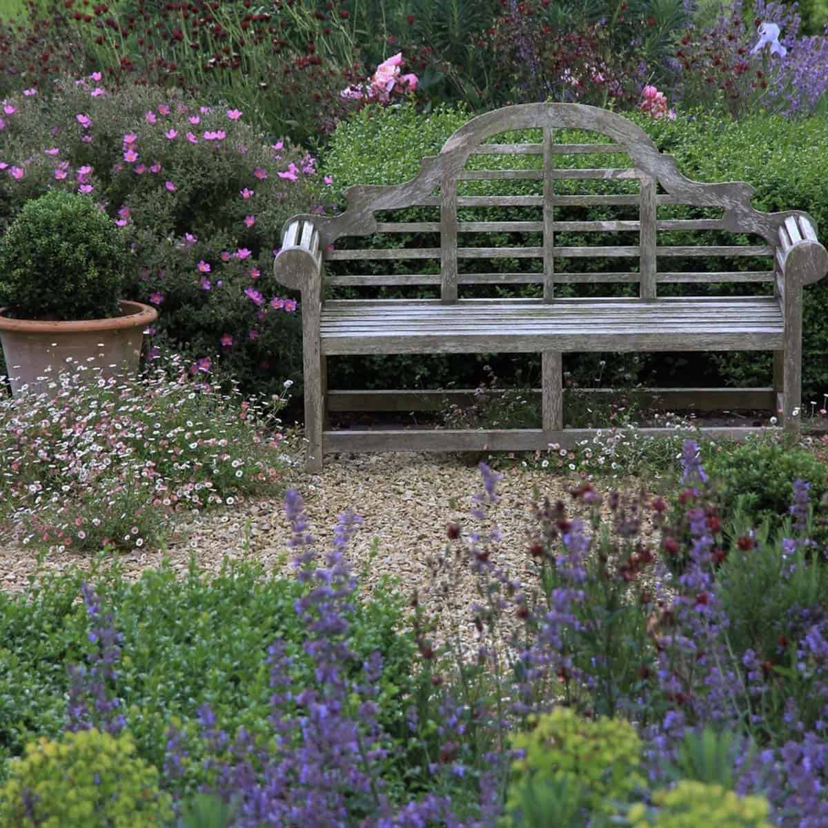 Weathered Lutyens teak bench surrounded by lavender, catmint, erigeron, and boxwood in a gravel English garden