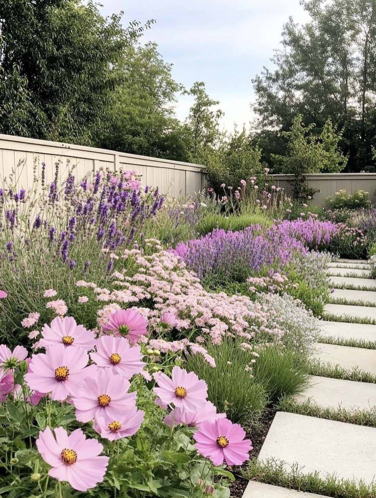 Pink cosmos, lavender, salvia, and scabiosa along a modern stepping stone path in a small backyard garden