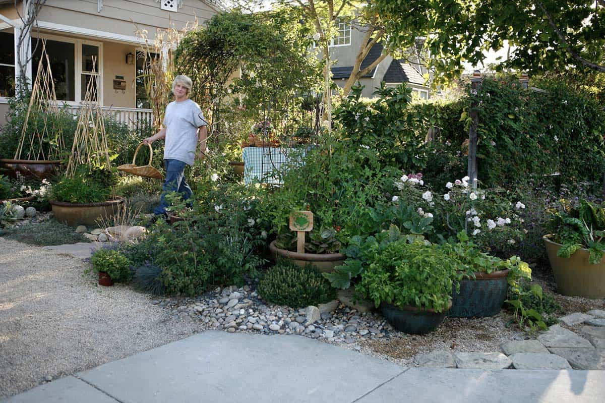 Lush front yard container garden with bamboo trellises mixed vegetable plantings and gravel pathways
