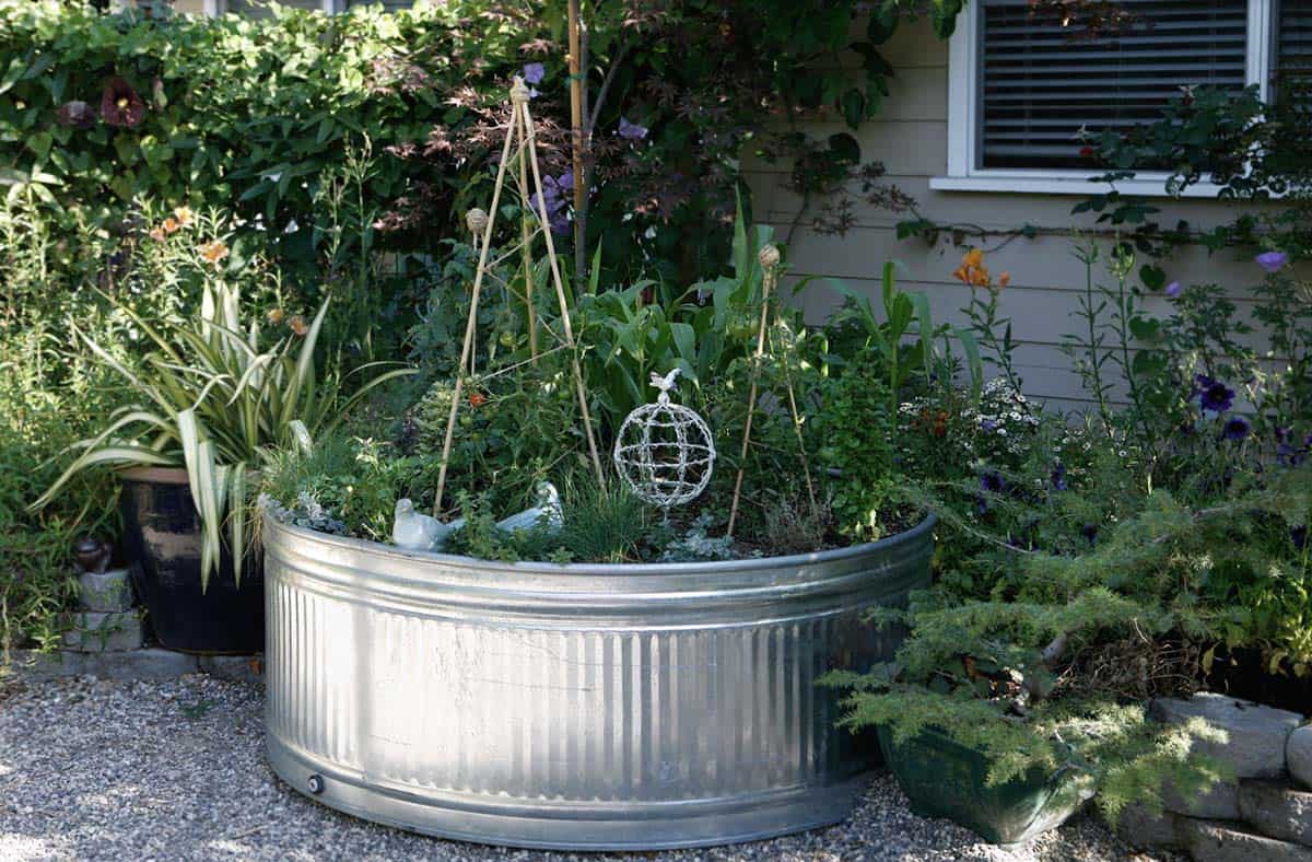 Galvanized stock tank raised bed planted with vegetables and herbs in a front yard cottage garden