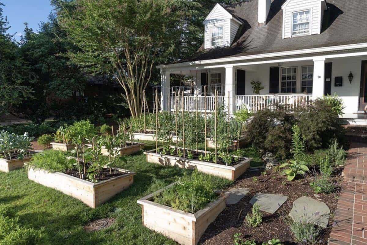 Rows of cedar raised beds filled with vegetables and herbs alongside a brick path and perennial border in Washington DC