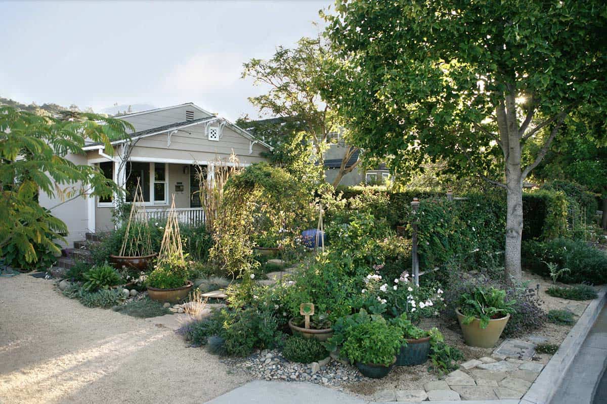 Lush front yard vegetable garden with container plants bamboo teepees and gravel pathways in front of a cottage home