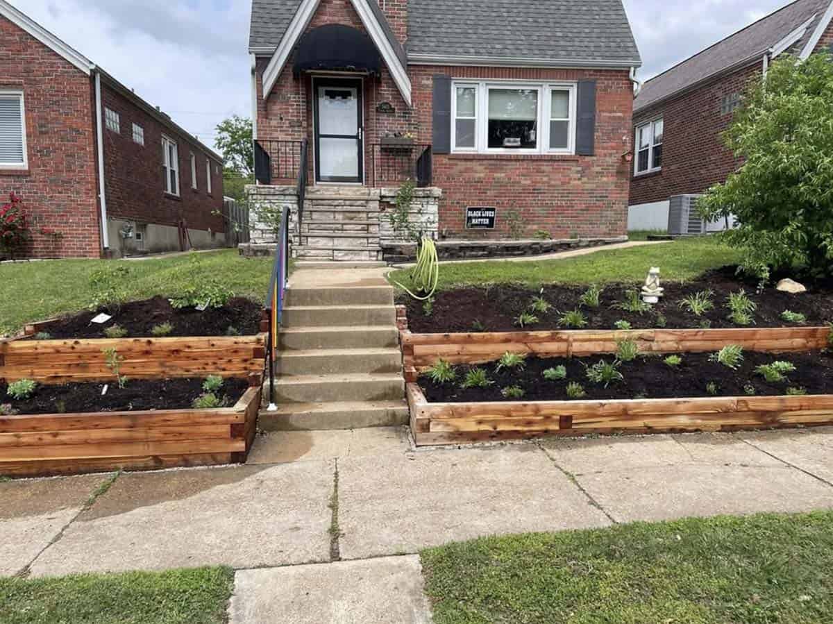 Two cedar raised beds flanking front steps of a brick home in St Louis with freshly planted herbs and edible plants