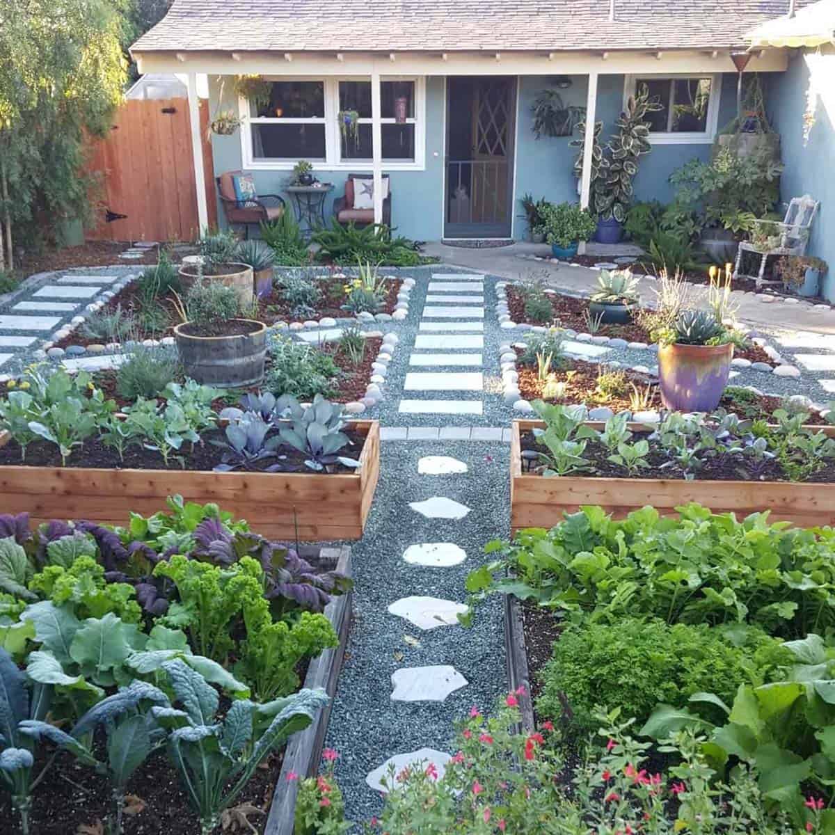 Front yard vegetable garden with cedar raised beds kale cabbage gravel pathways and stepping stones in front of a blue cottage home