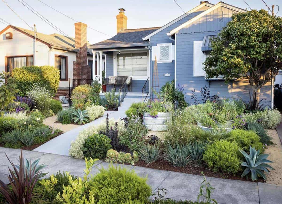 Lush front yard edible garden with galvanized stock tanks mixed plantings agave and a concrete path leading to a blue craftsman home