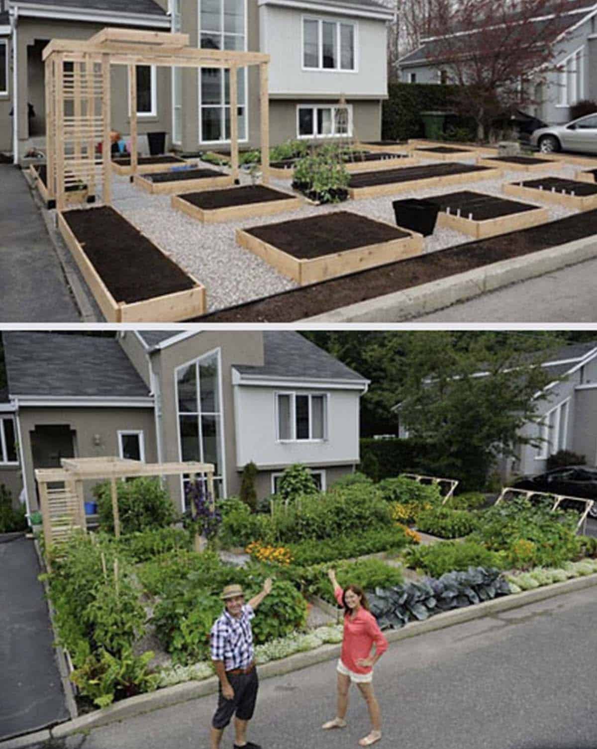 Before and after front yard transformation with multiple cedar raised beds wooden arbor and lush vegetable plantings in Quebec Canada
