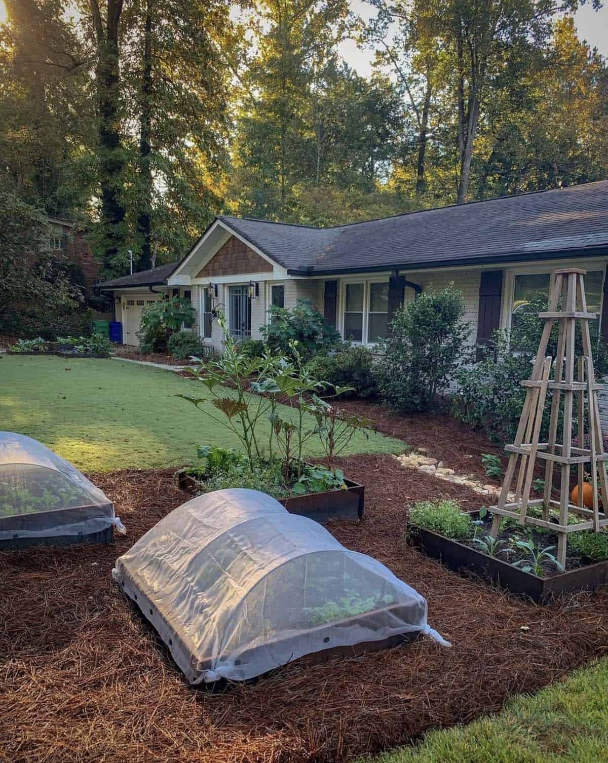 Front yard edible garden with corten steel raised beds row cover cloche tunnels wooden obelisk trellis and pine straw mulch in front of a brick ranch home
