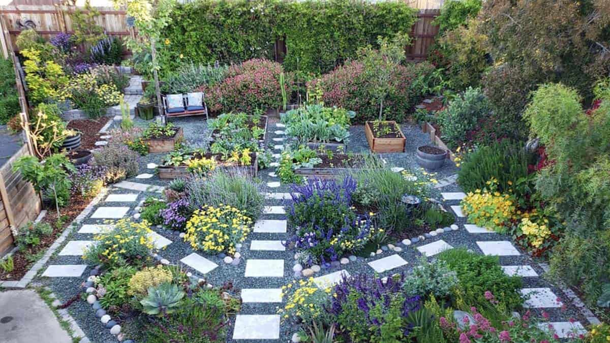 Aerial view of a lush front yard edible garden with raised beds gravel paths stepping stones pollinator plantings and fruit trees in California