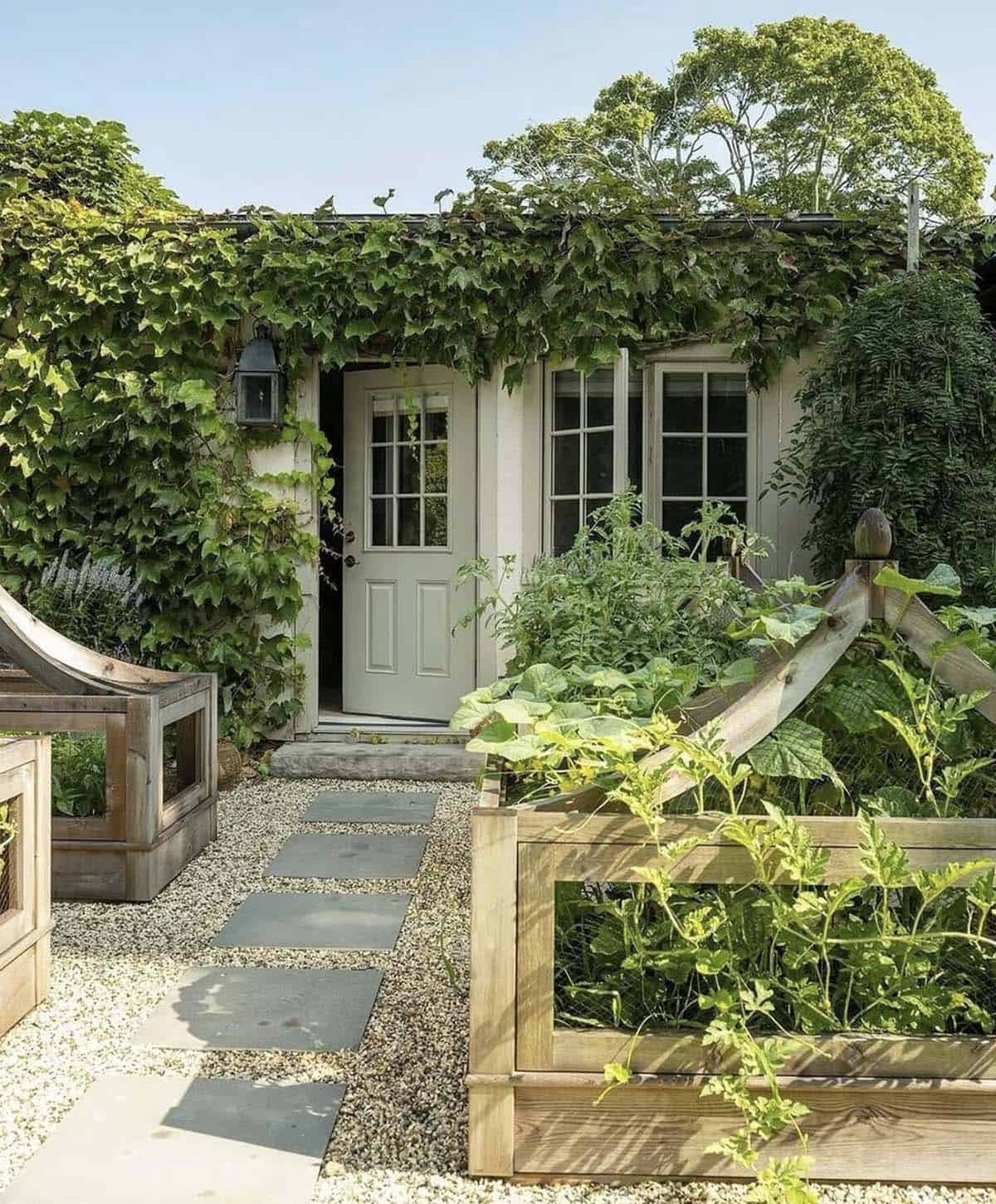 Charming cottage home entrance with ivy covered facade cedar raised beds squash and tomatoes and a bluestone gravel path