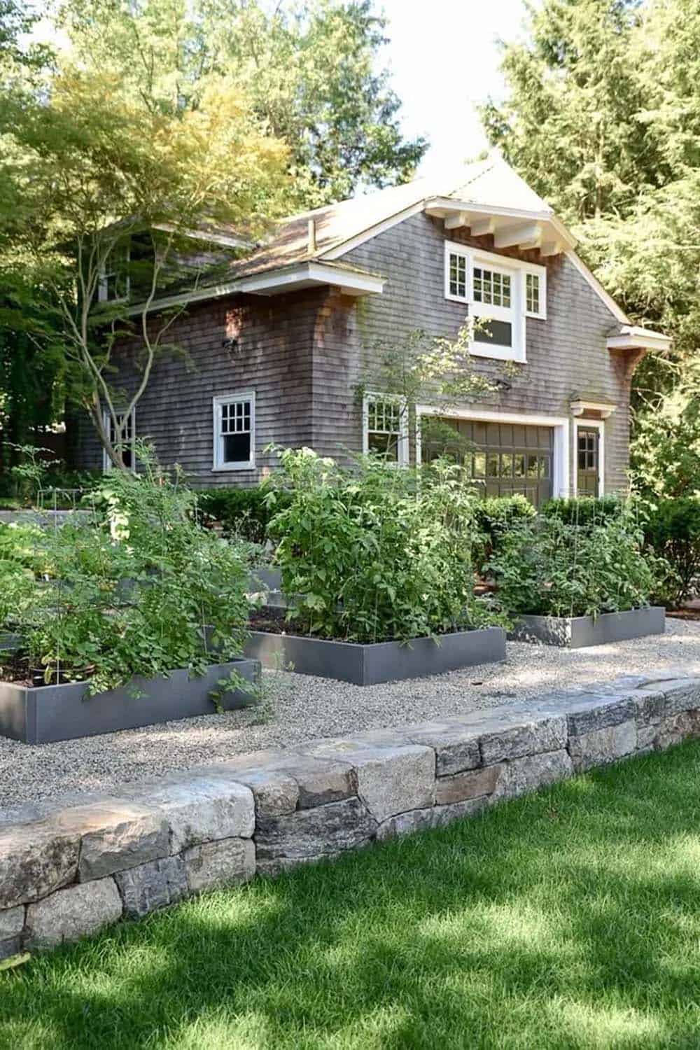 Sleek gray metal raised beds with tomatoes and vegetables on a gravel terrace edged with a fieldstone retaining wall at a cedar shingled Massachusetts home