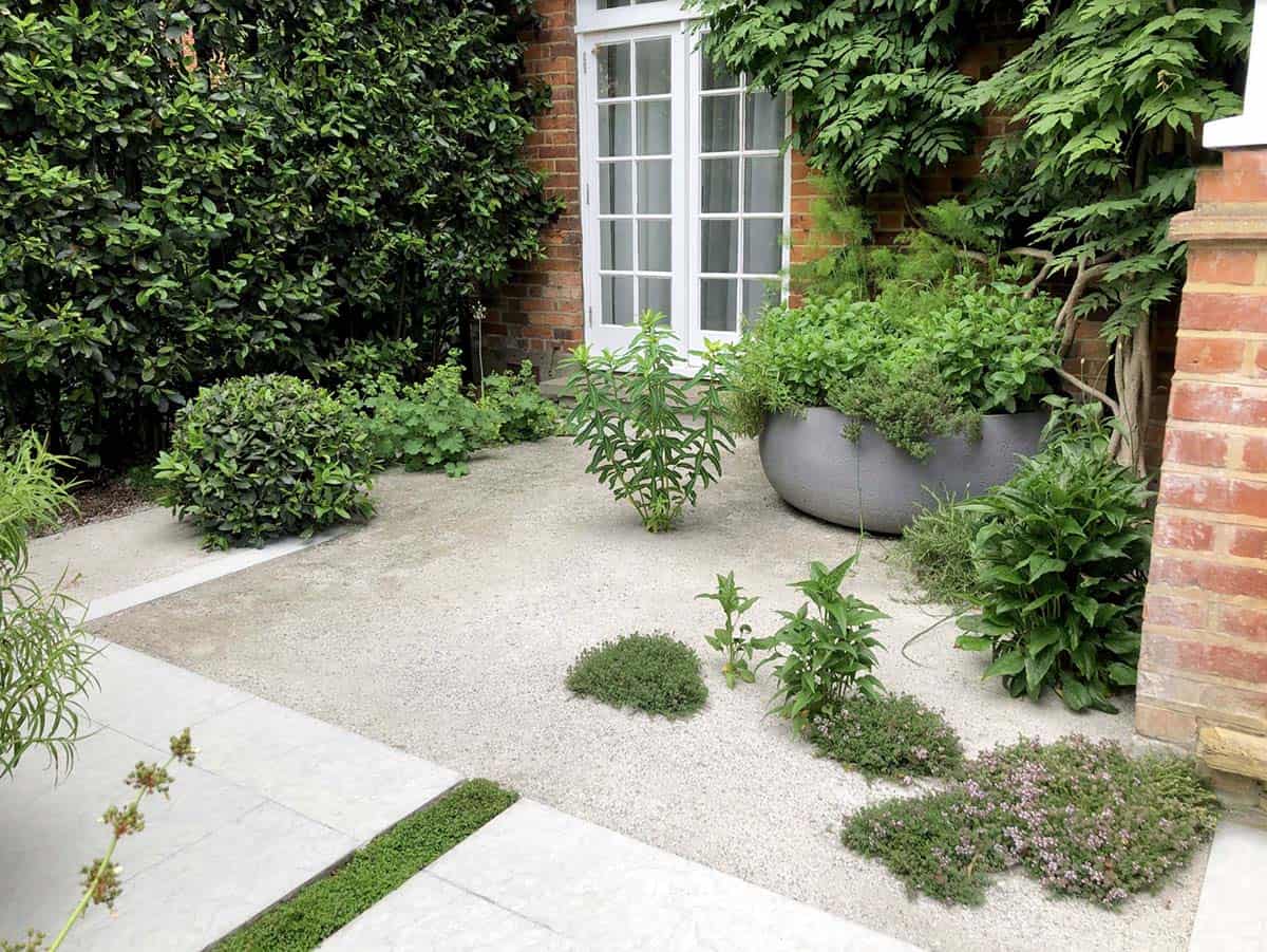 Minimalist front garden with large gray oval herb planter thyme boxwood and gravel pathway at a brick home in the UK