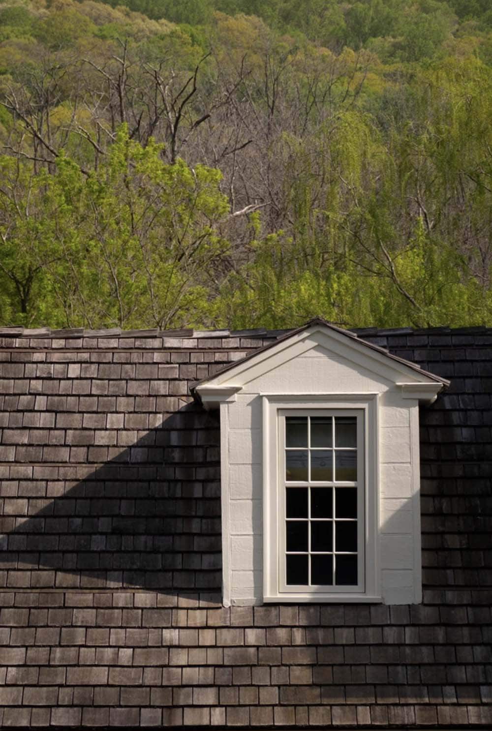 Shed-roof dormer window on cedar shake roof with wooded hillside backdrop